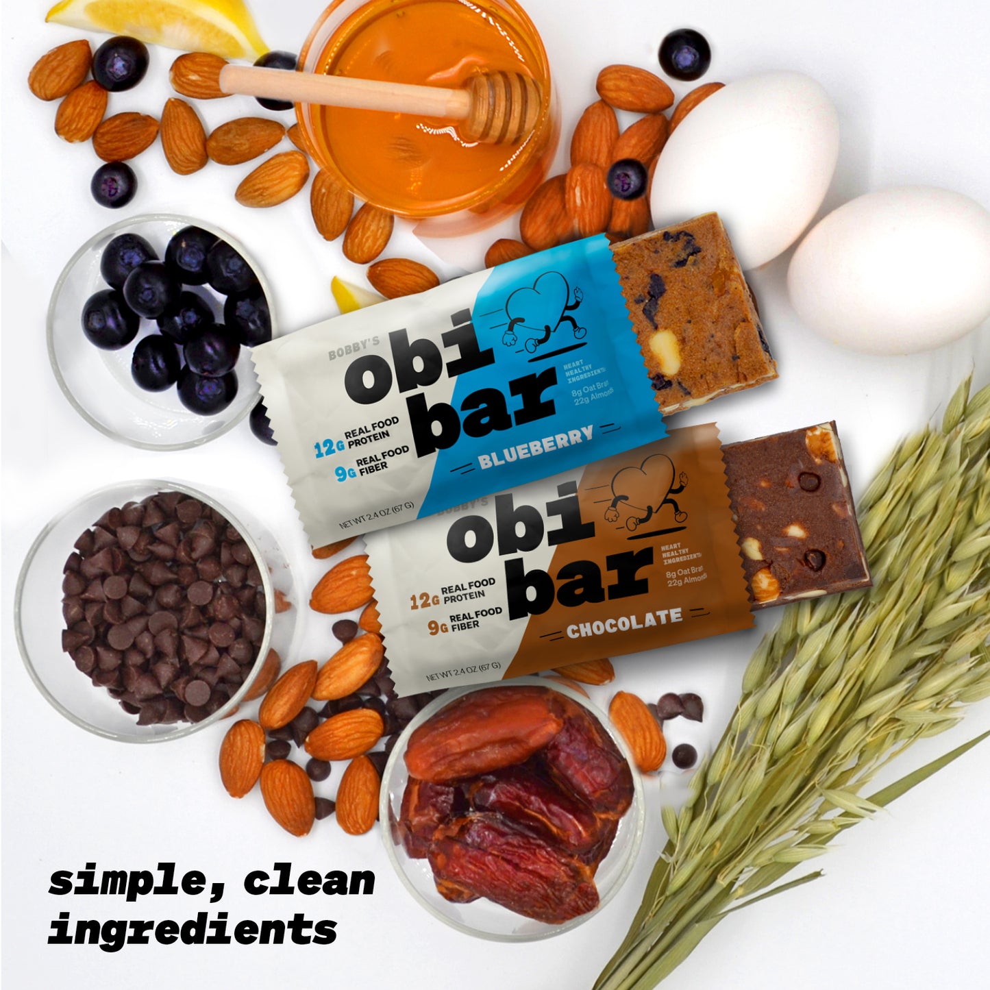 Obi Bar Sampler - Protein and Oat Fiber Bar | All Natural | Subtle and Lightly Sweet Taste | Meal Bar | Heart and Gut Health | Low Glycemic | 6 Chocolate and 6 Blueberry | Almond Chunks | 2.4oz, 12 pack | Soy Free, Dairy Free