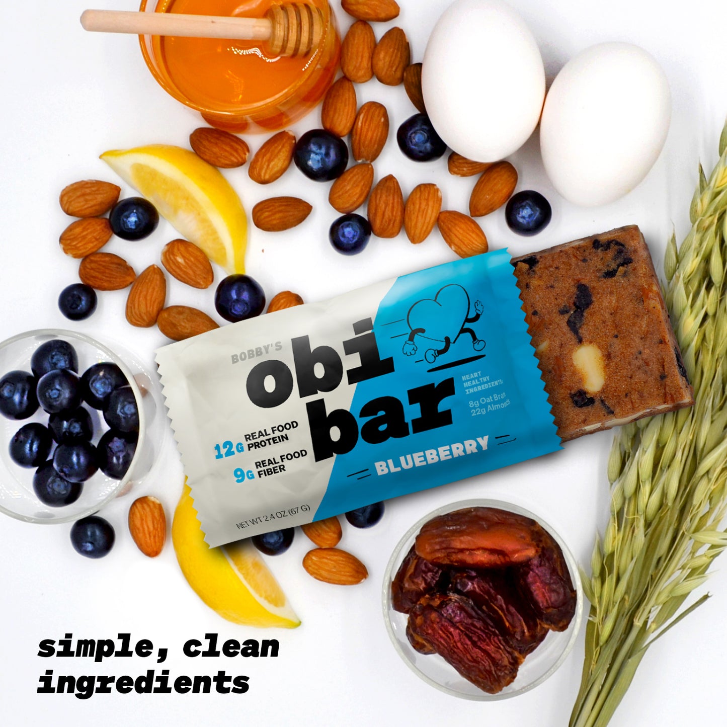 Obi Bar Blueberry - Protein and Oat Fiber Bar | All Natural | Subtle and Lightly Sweet Taste | Meal Bar | Heart and Gut Health | Low Glycemic | Natural Blueberries | Almond Chunks | 2.4oz, 12 pack | Soy Free, Dairy Free | Breakfast Bar